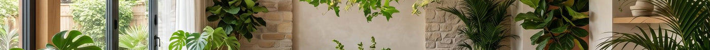 Biophilic interior: greenery, natural materials and warm light