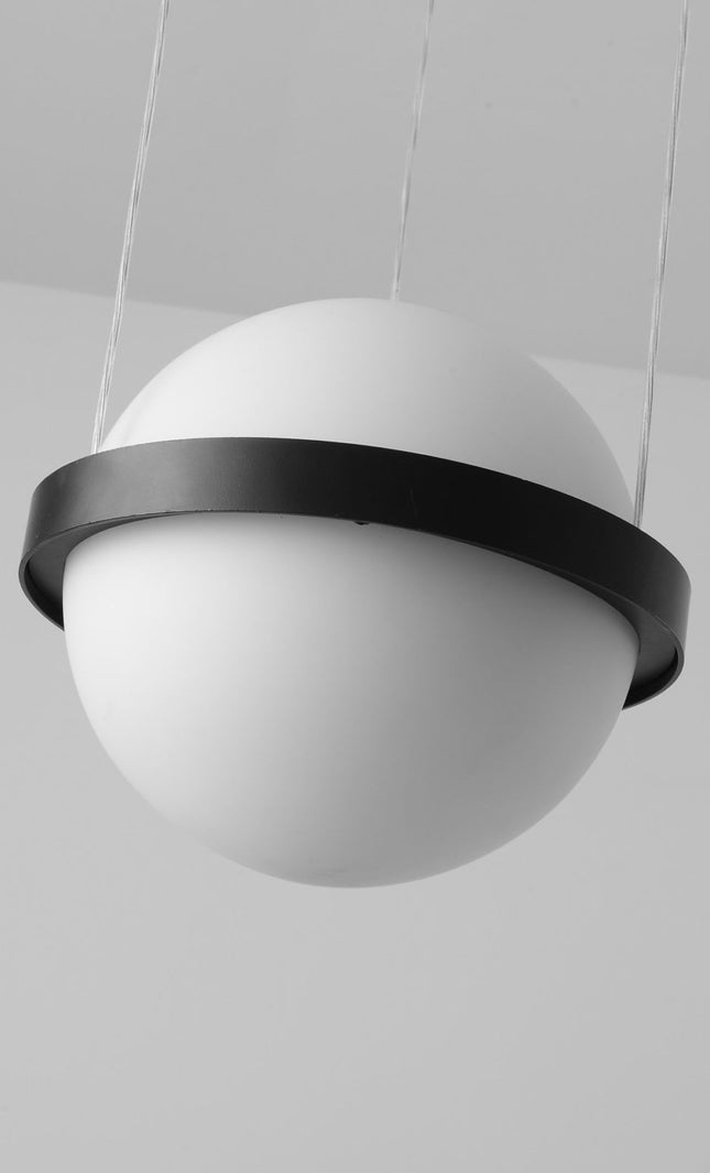 Designer Pendant Light PALMA