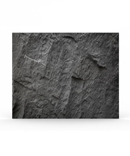 Panel LARGE PLATE