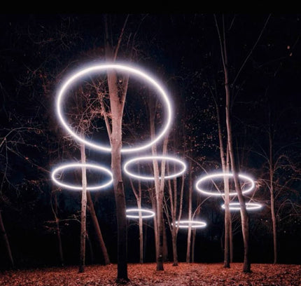Tree Spotlight FARREN — spotlight, technical lighting by RODESIGNE