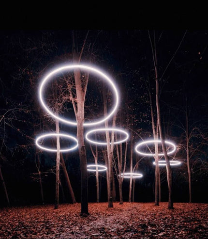 Tree Spotlight FARREN — spotlight, technical lighting by RODESIGNE