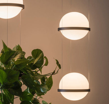 Designer Pendant Light PALMA — modern pendant light, custom designer lighting by RODESIGNE