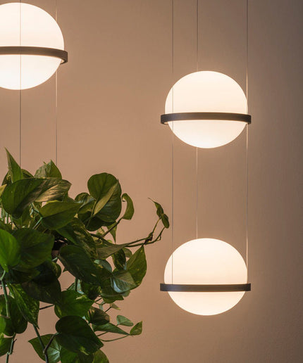 Designer Pendant Light PALMA