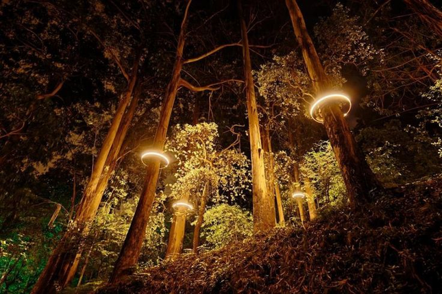 Tree Spotlight FARREN by Romatti