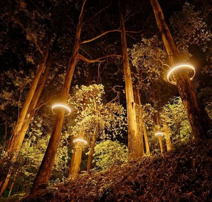 Tree Spotlight FARREN — spotlight, technical lighting by RODESIGNE