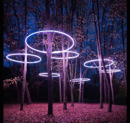 Tree Spotlight FARREN — spotlight, technical lighting by RODESIGNE