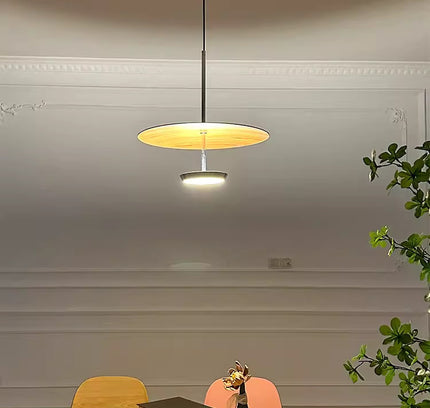 Pendant Light BARNY'S — modern pendant light, custom designer lighting by RODESIGNE