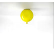 25 × 28 cm / Yellow