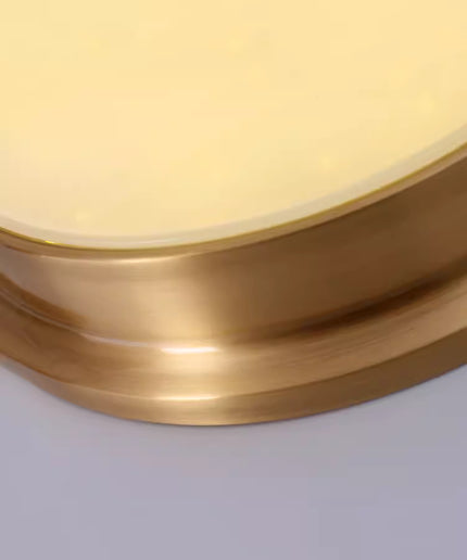 Ceiling Light HETER