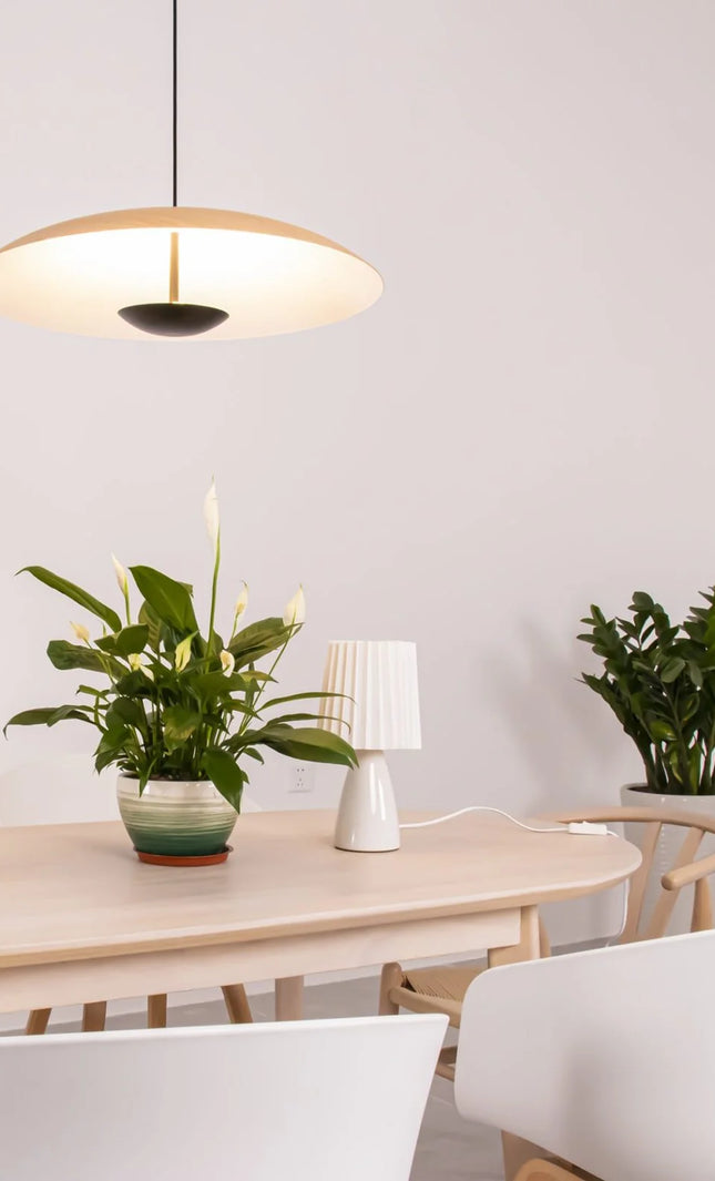 Pendant lamp GINZER by Rodesigne