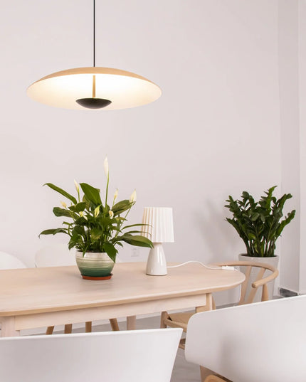 Pendant lamp GINZER by Rodesigne