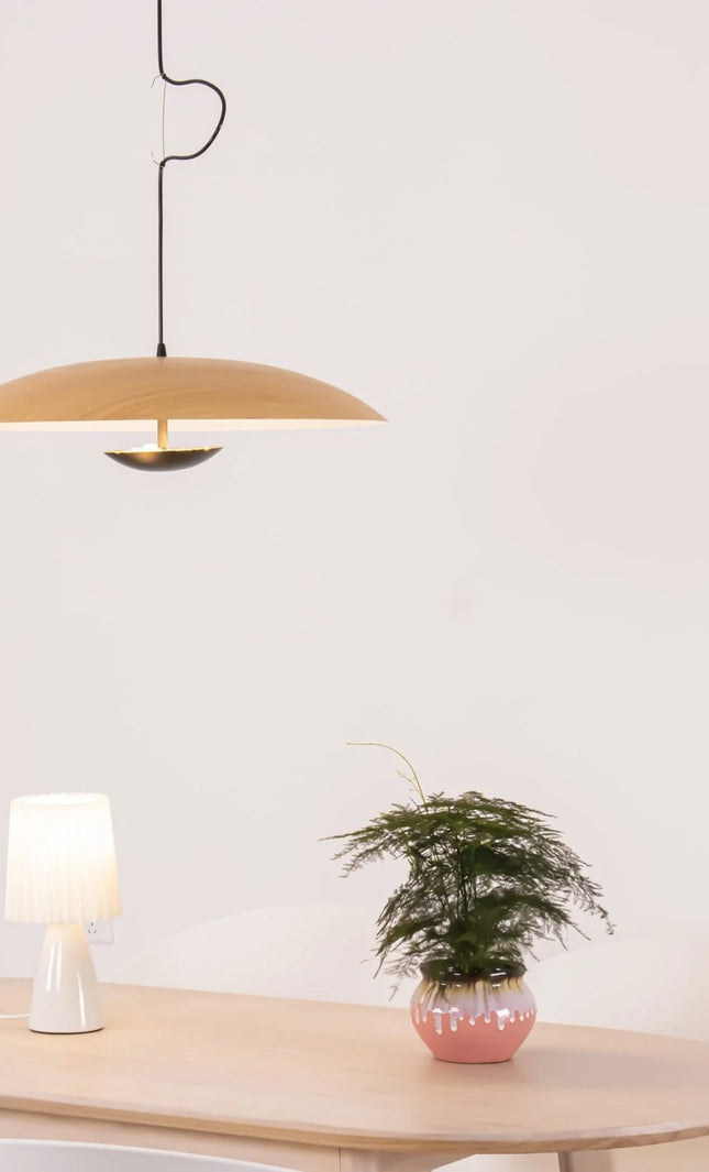 Pendant lamp GINZER by Rodesigne