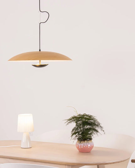 Pendant lamp GINZER by Rodesigne