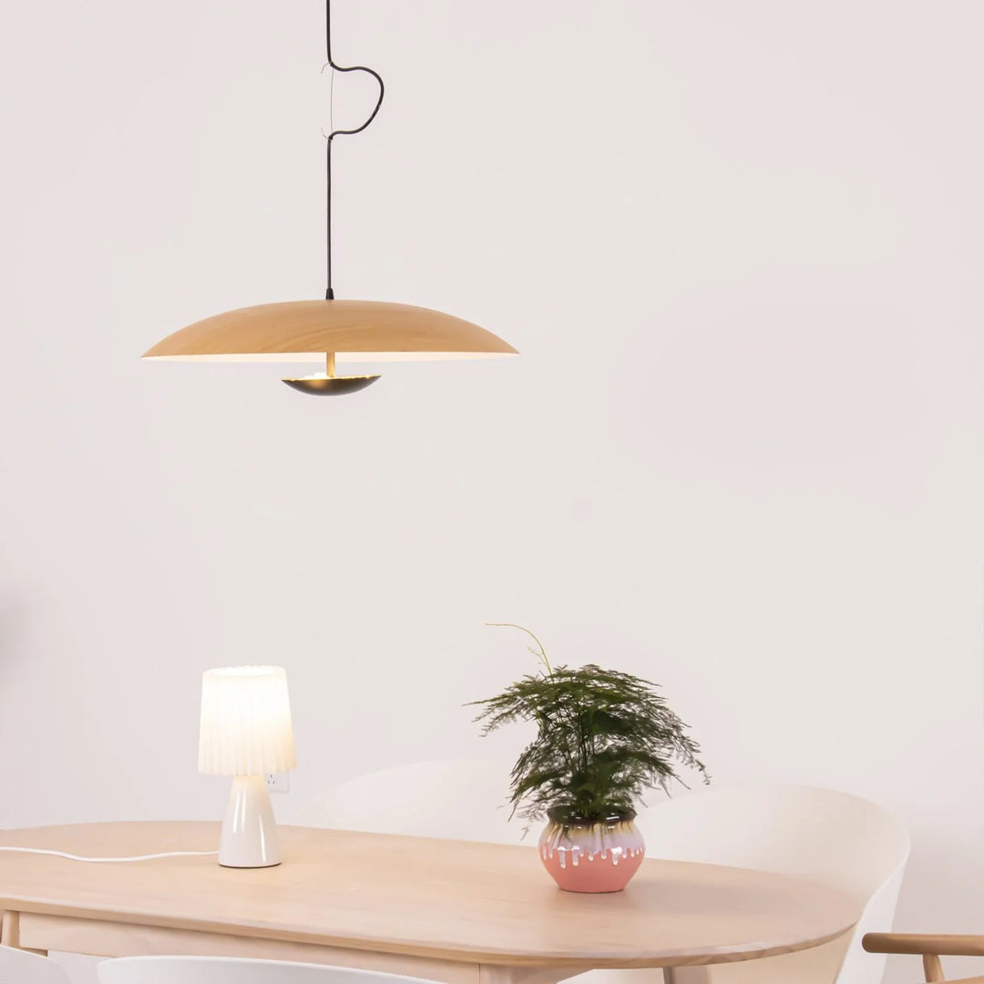 Pendant lamp GINZER by Rodesigne