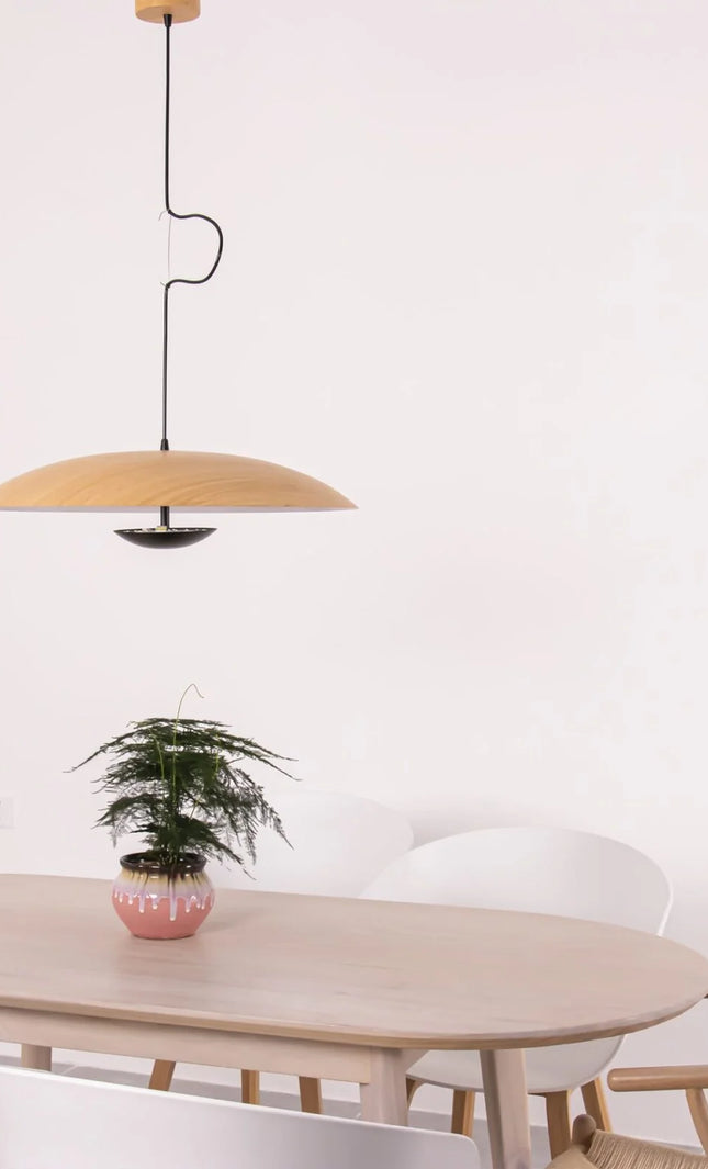 Pendant lamp GINZER by Rodesigne
