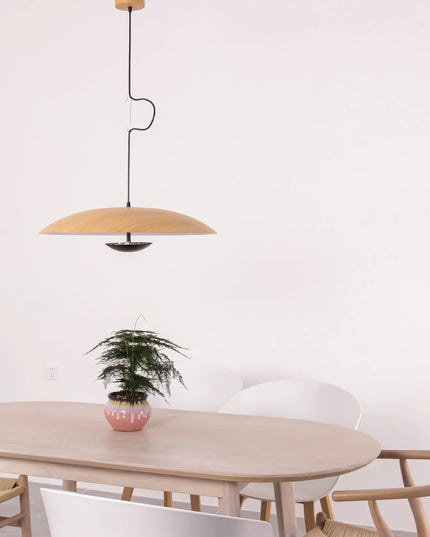 Pendant lamp GINZER by Rodesigne