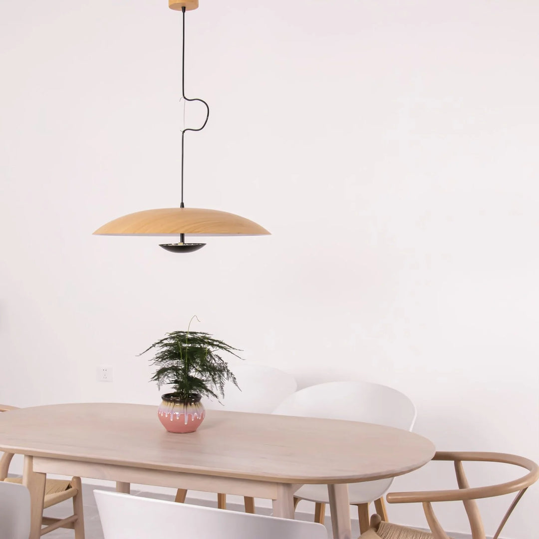 Pendant lamp GINZER by Rodesigne