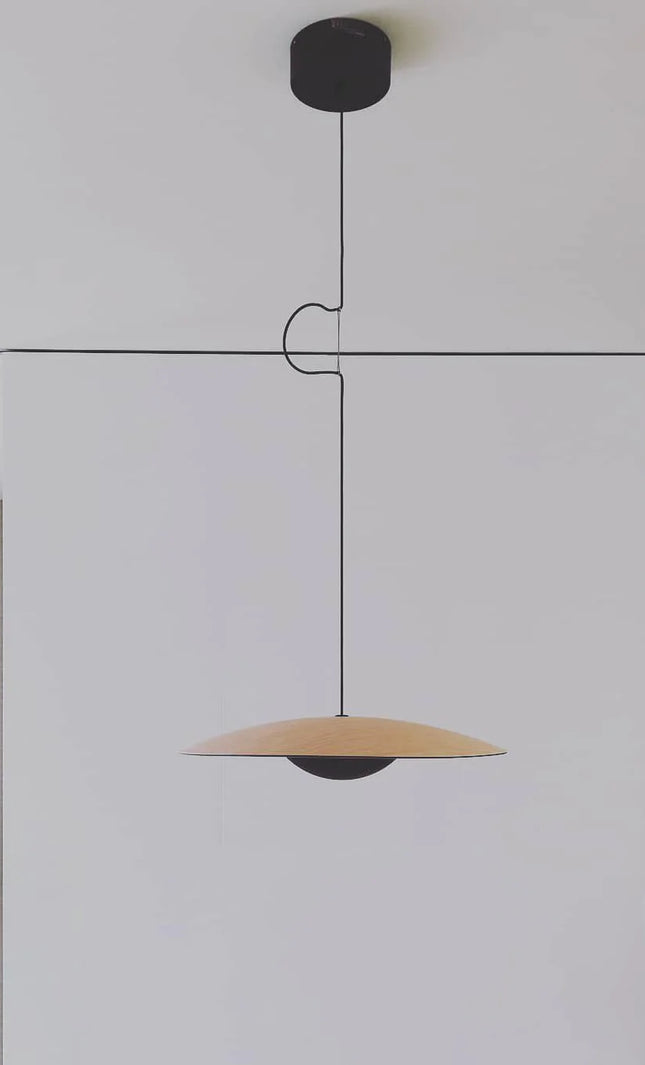 Pendant lamp GINZER by Rodesigne