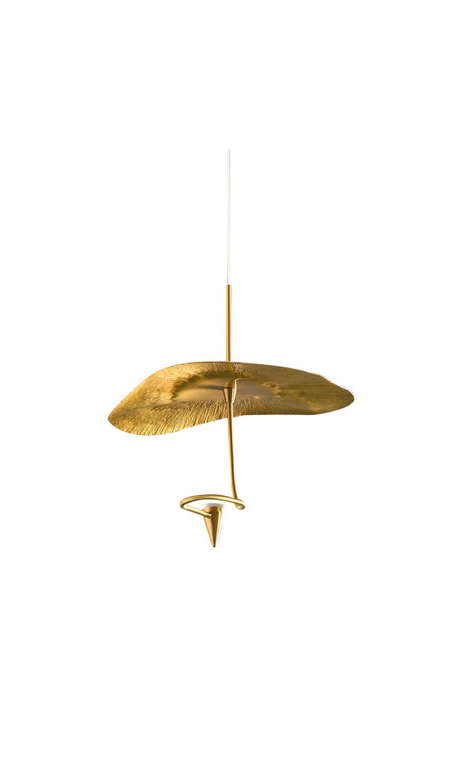 Pendant lamp LOTUS by Rodesigne
