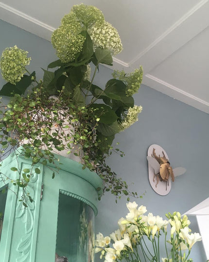 Wall lamp (Sconce) PERCHING BIRD by Rodesigne