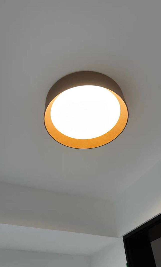 Ceiling Light VIBIA