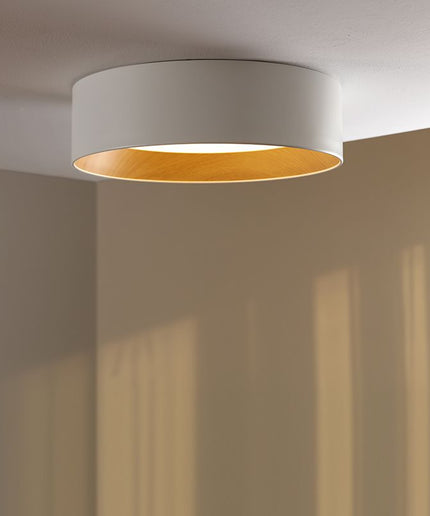 Ceiling Light VIBIA