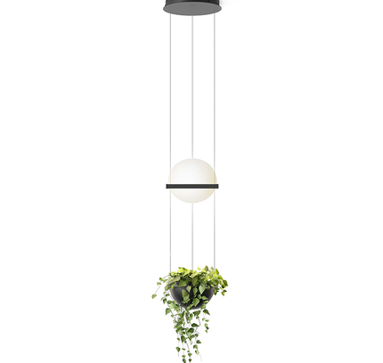 Pendant lamp PALMA by Rodesigne