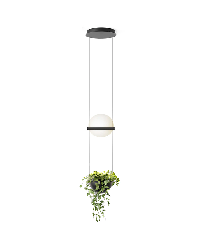 Pendant lamp PALMA by Rodesigne