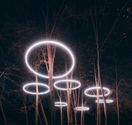 Tree Spotlight FARREN — spotlight, technical lighting by RODESIGNE