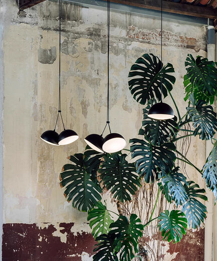 Pendant Light XULU