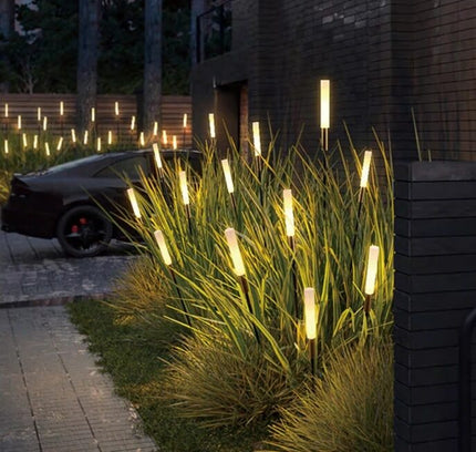 Plant grow light 5W by RODESIGNE