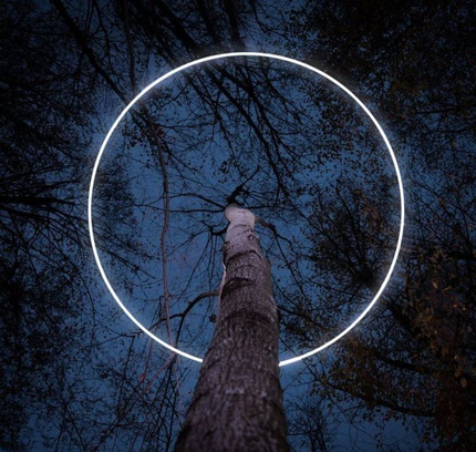 Tree Spotlight FARREN — spotlight, technical lighting by RODESIGNE