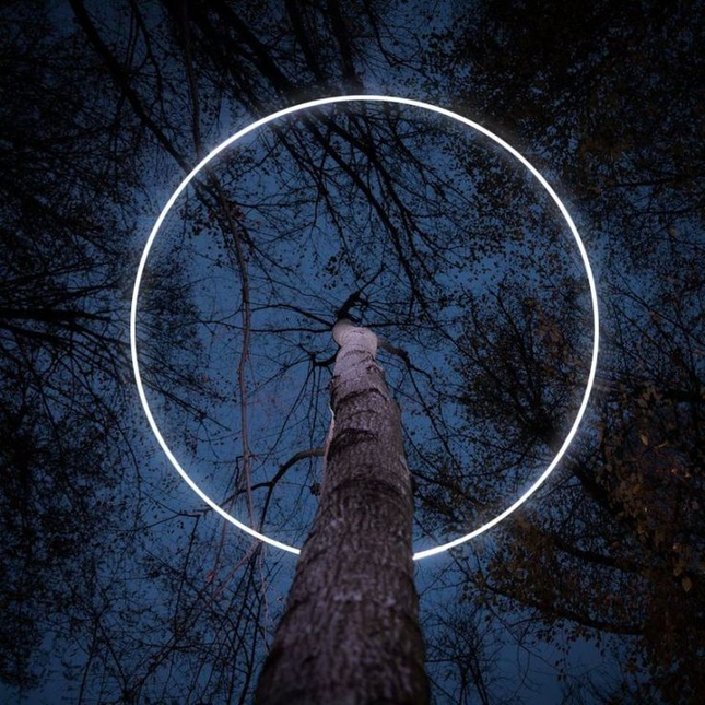Tree Spotlight FARREN — spotlight, technical lighting by RODESIGNE