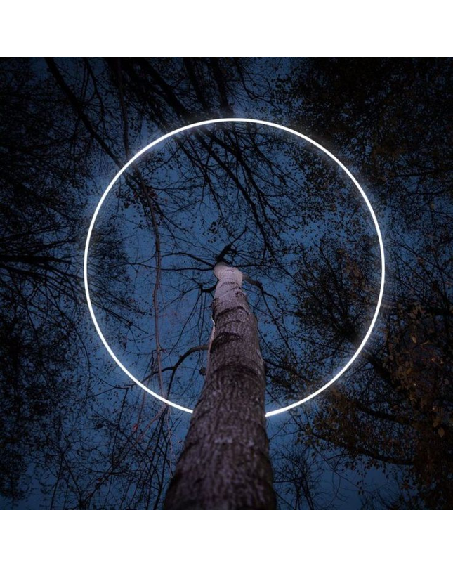 Tree Spotlight FARREN — spotlight, technical lighting by RODESIGNE