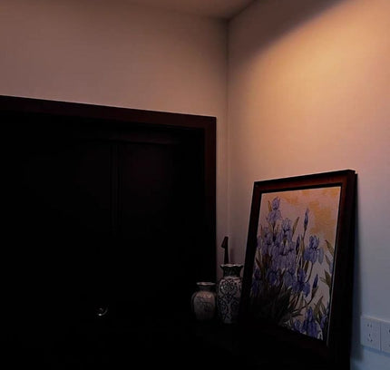Ceiling Light W PORTAL by RODESIGNE