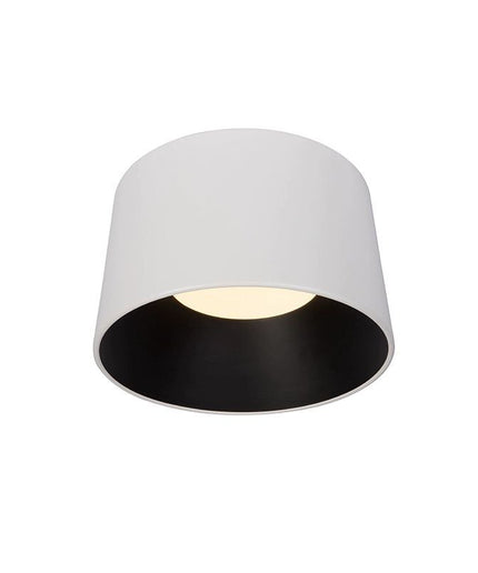 Ceiling Light HITTER