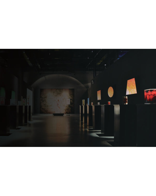 Spotlight PRATO-31 — spotlight, technical lighting by RODESIGNE