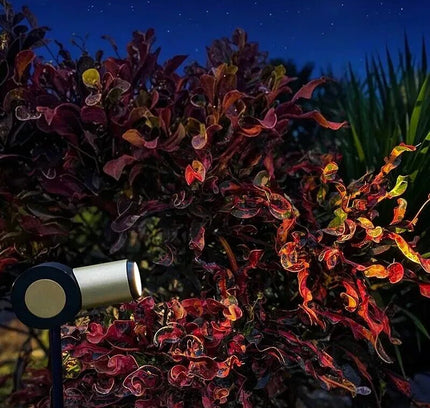 Landscape light 5W by RODESIGNE