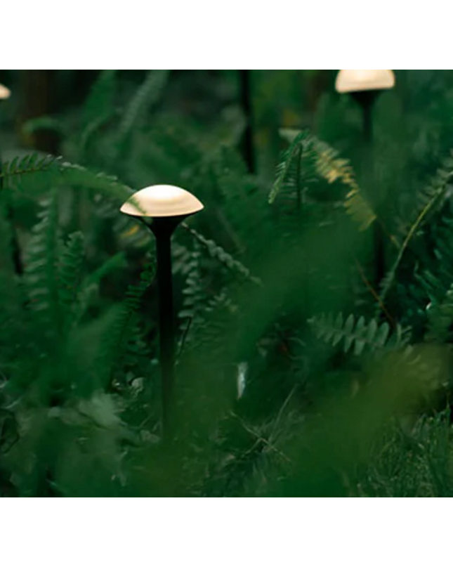 Landscape light 2W (MN-P0020-01CD) by RODESIGNE