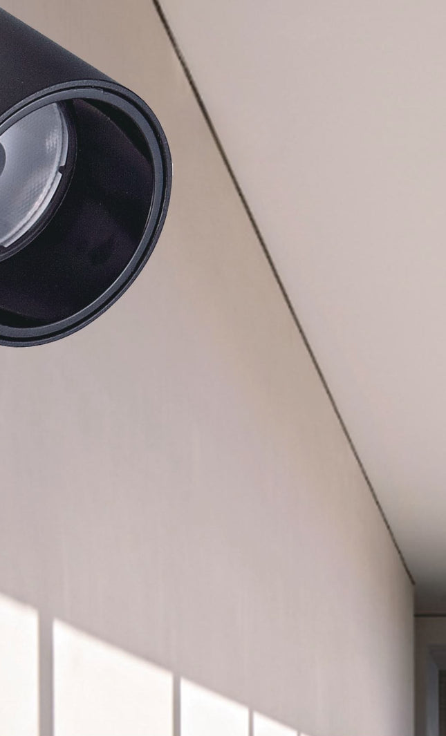 Spotlight BURANO-07/08