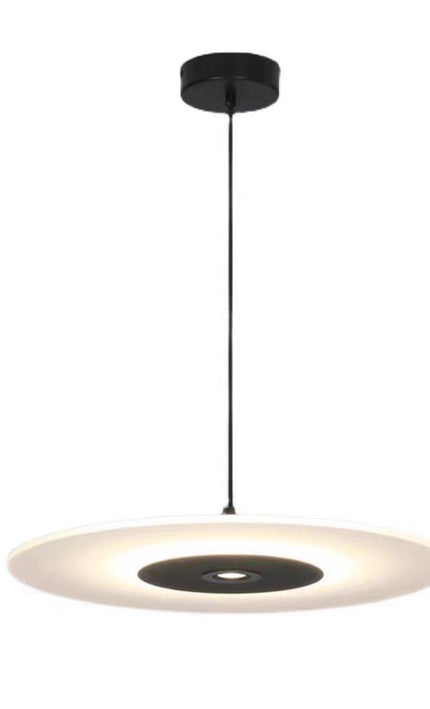 Pendant Light ALIENNER