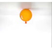25 × 28 cm / Orange
