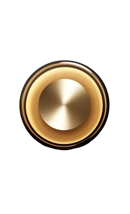 Wall Sconce SURRENDER