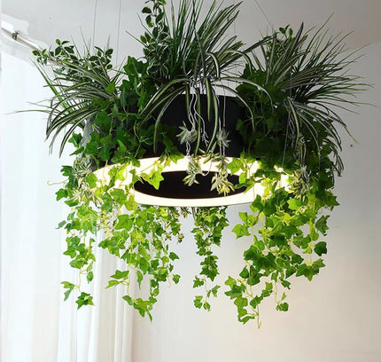 Chandelier FERENGE by Rodesigne