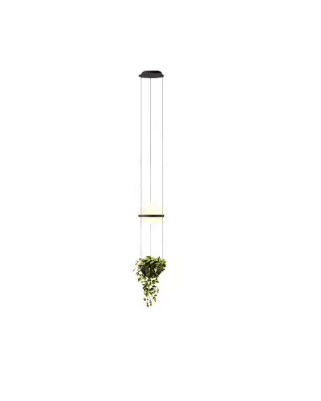 Pendant Light HERBA — modern pendant light, custom designer lighting by RODESIGNE