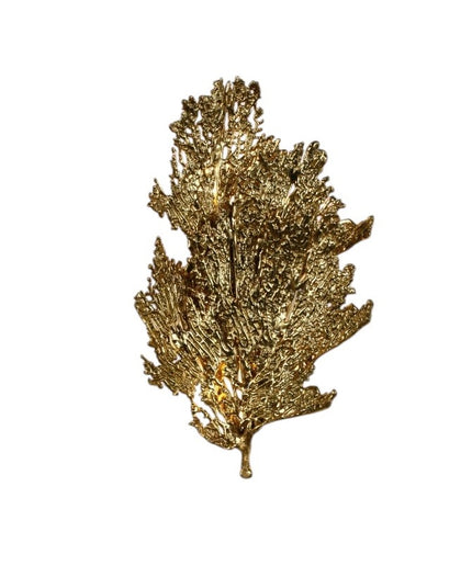 Wall Sconce FOMAS