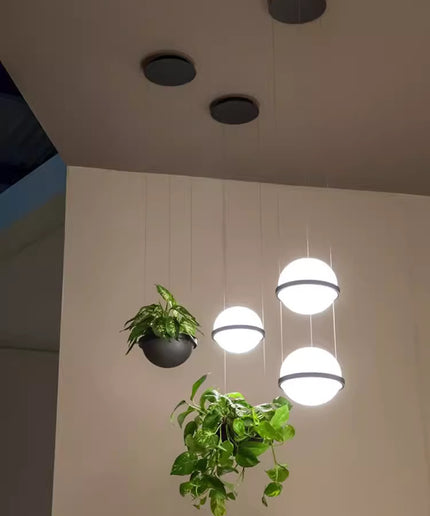 Pendant Light HERBA