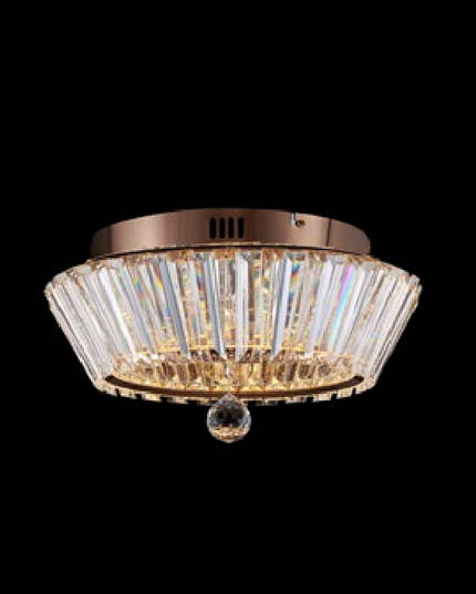 Ceiling Light LAMPASA