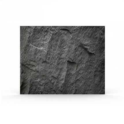 Panel LARGE PLATE