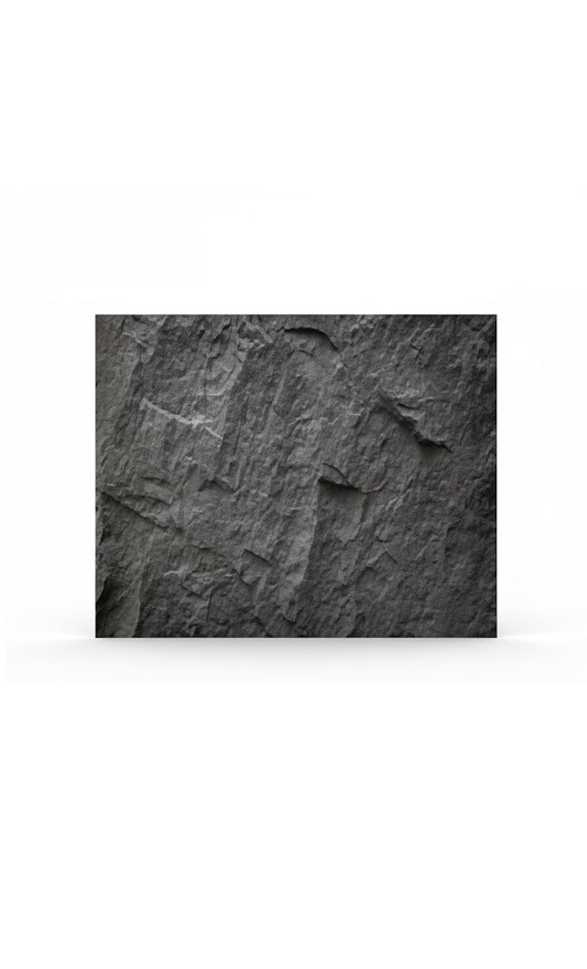 Panel LARGE PLATE